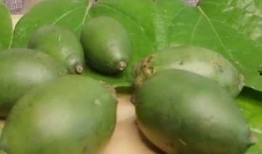 东莞槟榔最新爆料,揭秘最新爆料背后的真相与影响